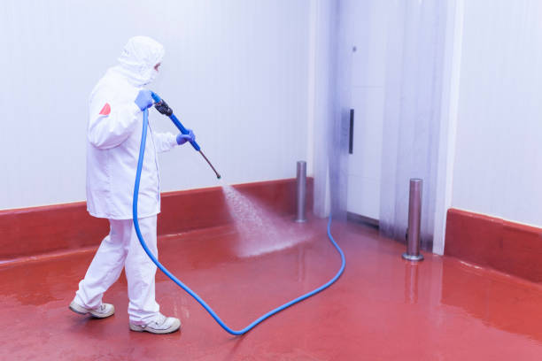 Best Restaurant Pressure Washing  in Kenhorst, PA
